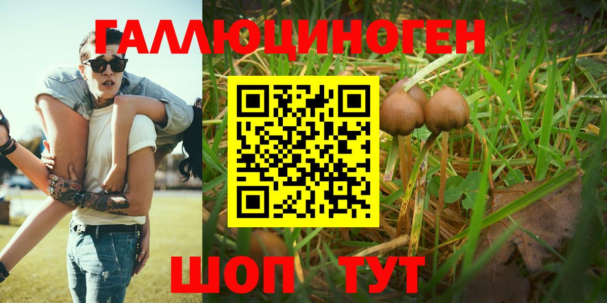 Галлюциногенные грибы ЛСД Муравленко
